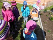 Pečujeme o květinový záhonek